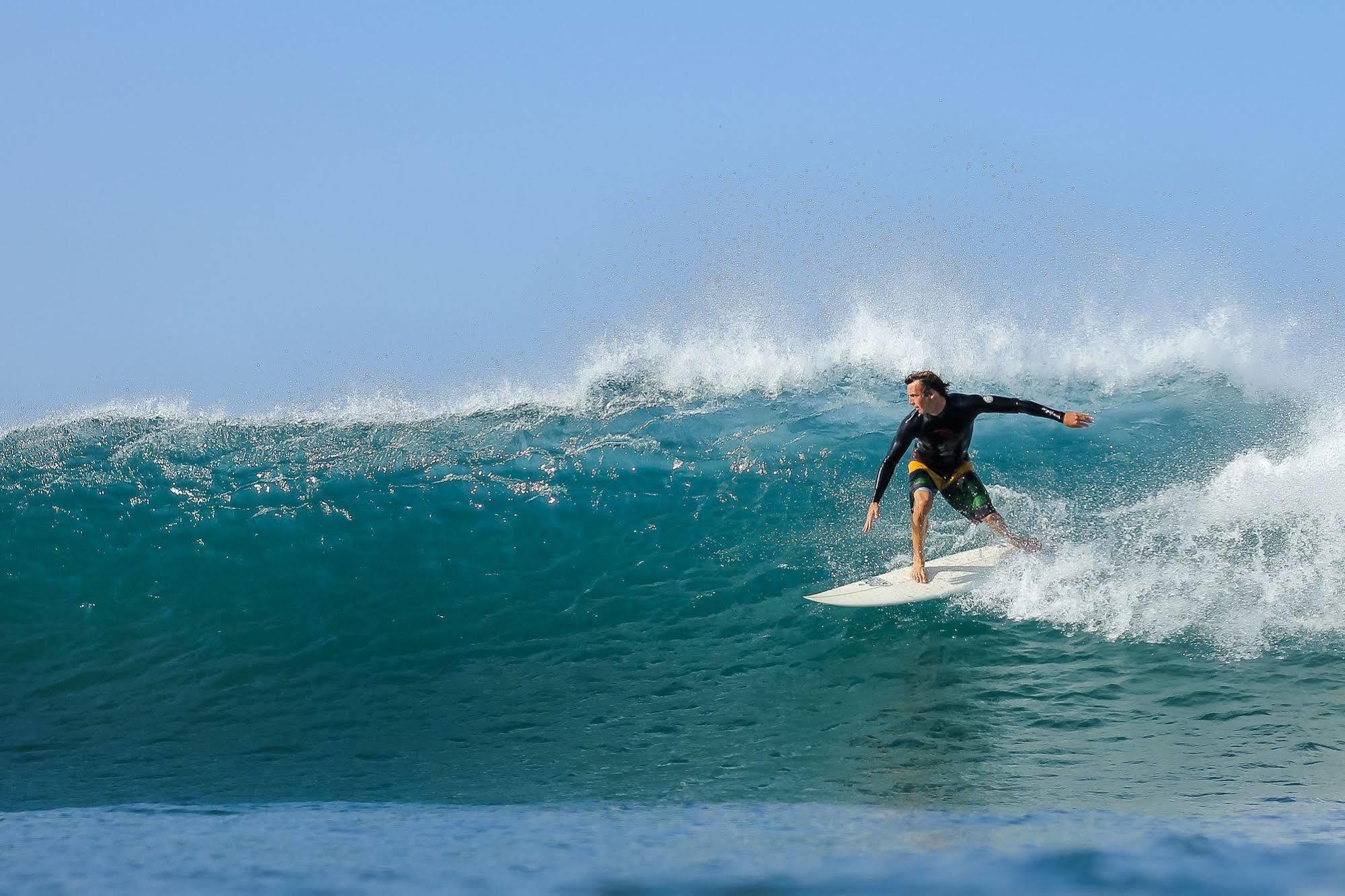 La Negra Surf Hotel Nosara Eksteriør bilde